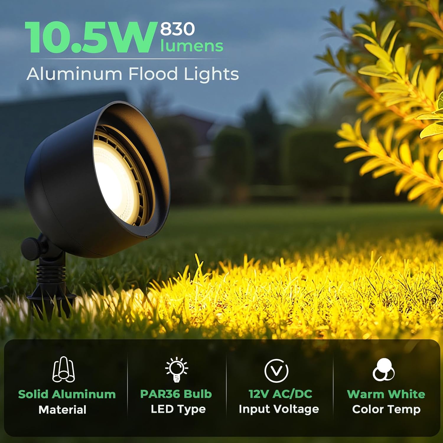 Niederspannungs-LED-Flutlicht  – Outdoor Lighting Tree Bewertung und Preis
